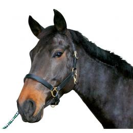 Pferdehalfter Leder - schwarz Gr.1 Pony