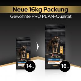 PURINA PRO PLAN Large Robust Adult Everyday Nutrition - 10 kg