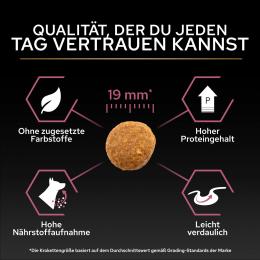 Angebot für PURINA PRO PLAN Medium Adult Sensitive Skin - 10 kg - Kategorie Hundefutter & Zubehör / Hundefutter trocken / PURINA PRO PLAN / Haut & Fell.  Lieferzeit: 1-2 Tage -  jetzt kaufen.