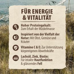 Purizon Puppy Huhn mit Fisch - getreidefrei - NEU: 100 g