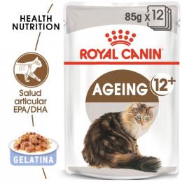Royal Canin 12+ Altern Lebensmittel Cat Nass Gelatine Für Ältere 85 Gr