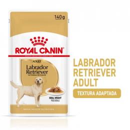 Royal Canin Adult Labrador 140 Gr