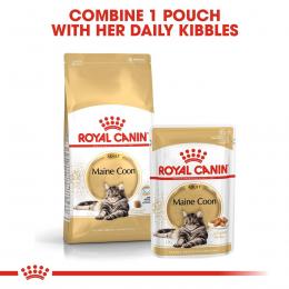 ROYAL CANIN ADULT Maine Coon 10kg + Nassfutter in Soße 48x85g