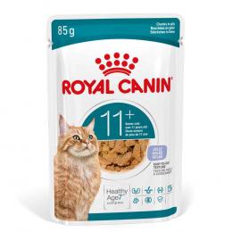 Royal Canin Ageing 11+ in Gelee - Sparpaket: 24 x 85 g
