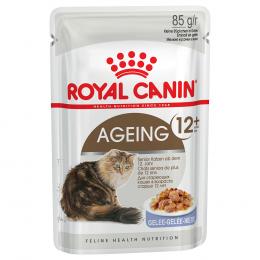 Royal Canin Ageing +12 in Gelee - Sparpaket: 24 x 85 g