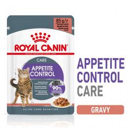ROYAL CANIN APPETITE CONTROL CARE Nassfutter in Soße für erwachsene Katzen 48x85g