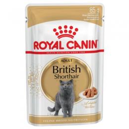 Angebot für Royal Canin British Shorthair Adult in Soße - 12 x 85 g - Kategorie Katze / Katzenfutter nass / Royal Canin / Royal Canin Breed.  Lieferzeit: 1-2 Tage -  jetzt kaufen.