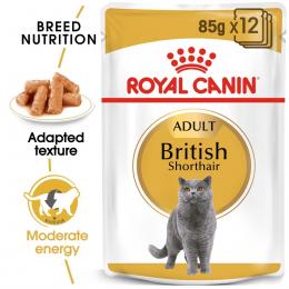 ROYAL CANIN British Shorthair Adult Katzenfutter nass für Britisch Kurzhaar 48x85g