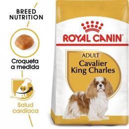Royal Canin Cavalier King Charles Adult 3 Kg