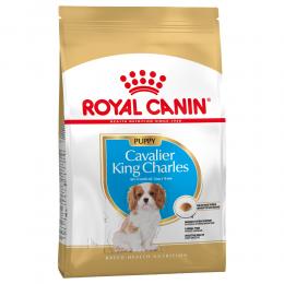 Royal Canin Cavalier King Charles Puppy - Sparpaket: 3 x 1,5 kg