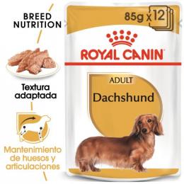Royal Canin Dachshund Adult 85 Gr