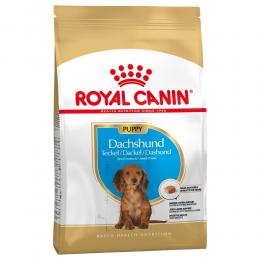 Royal Canin Dachshund Puppy - Sparpaket 3 x 1,5 kg