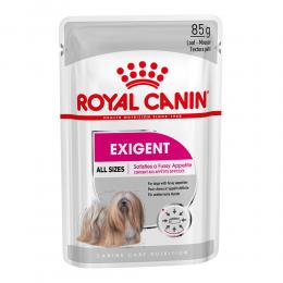 Angebot für Royal Canin Exigent Mousse - Sparpaket: 24 x 85 g - Kategorie Hund / Hundefutter nass / Royal Canin CARE Nutrition / -.  Lieferzeit: 1-2 Tage -  jetzt kaufen.