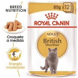 Royal Canin Fbn Wet British Shorthair 85 Gr