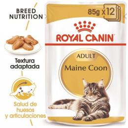 Royal Canin Fbn Wet Mainecoon 85 Gr