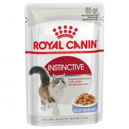 Royal Canin Instinctive in Gelee - Sparpaket: 48 x 85 g