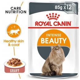 ROYAL CANIN Intense Beauty Katzenfutter nass in Soße für schönes Fell 48x85g