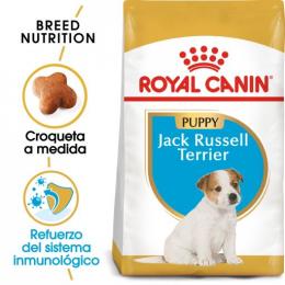 Royal Canin Jack Russell Junior 3 Kg