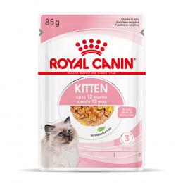 Royal Canin Kitten in Gelee - Sparpaket: 96 x 85 g