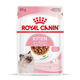 Royal Canin Kitten in Soße - Sparpaket: 48 x 85 g