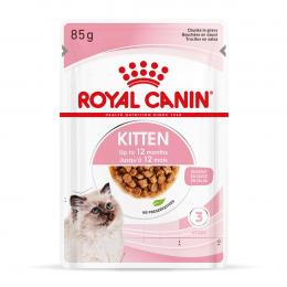 ROYAL CANIN KITTEN Nassfutter in Soße für Kätzchen 48x85g