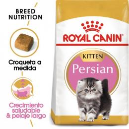 Royal Canin Kitten Persian 32 10 Kg