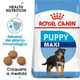 Royal Canin Maxi Puppy Futter Für Welpen Großer Rassen 10 Kg