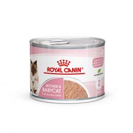 Royal Canin Mother & Babycat Ultra Soft Mousse - Sparpaket: 48 x 195 g