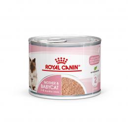 ROYAL CANIN MOTHER und BABYCAT Mousse für tragende Katzen und Kitten 12x195g