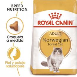 Royal Canin Norweigan Forest Cat 10 Kg