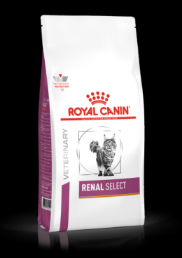 Royal Canin Renal Select Feline 4 Kg