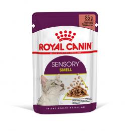Royal Canin Sensory Smell in Soße - Sparpaket: 48 x 85 g