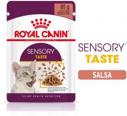 Royal Canin Sensory Taste Moist Cat Food In Sauce Für Ausgewachsene