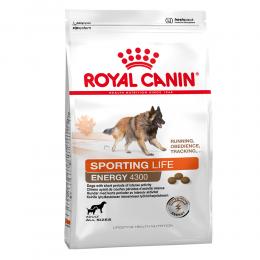 Angebot für Royal Canin Sporting Life Energy Trail 4300 - Sparpaket: 2 x 15 kg - Kategorie Hund / Hundefutter trocken / Royal Canin Club / Selection / Royal Canin Special Club.  Lieferzeit: 1-2 Tage -  jetzt kaufen.