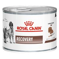 Angebot für Royal Canin Veterinary Canine Recovery Mousse - 12 x 195 g - Kategorie Hund / Hundefutter nass / Royal Canin Veterinary / Erholung.  Lieferzeit: 1-2 Tage -  jetzt kaufen.