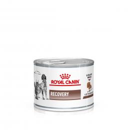 Royal Canin Veterinary Canine Recovery Mousse - 48 x 195 g
