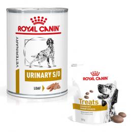 Royal Canin Veterinary Canine Urinary + 3 x 230 g Snacks gratis! - 12 x 410 g S/O Mousse