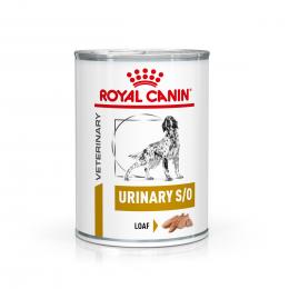 Royal Canin Veterinary Canine Urinary S/O Mousse - Sparpaket: 24 x 410 g
