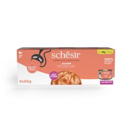 Schesir Complete Nutrition Filet in Brühe 6 x 85 g in Dosen - Lachs