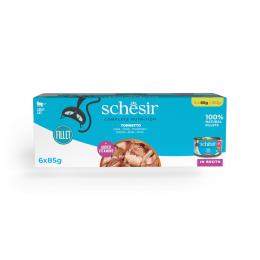 Schesir Complete Nutrition Filet in Brühe 6 x 85 g in Dosen - Thunfisch