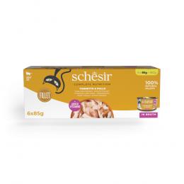 Angebot für Schesir Complete Nutrition Filet in Brühe 6 x 85 g - Thunfisch mit Huhn - Kategorie Katzenfutter & Zubehör / Katzenfutter nass / Schesir Complete Nutrition / Broth Can.  Lieferzeit: 1-2 Tage -  jetzt kaufen.