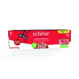 Schesir Complete Nutrition Filet in Gelee 6 x 140 g - Thunfisch mit Garnelen