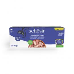 Schesir Complete Nutrition Filet in Gelee 6 x 85 g - Thunfisch mit Rindfleisch