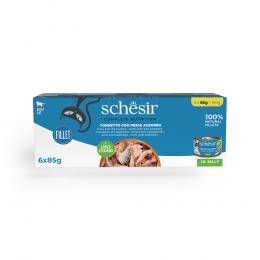 Schesir Complete Nutrition Filet in Gelee 6 x 85 g - Thunfisch mit Sardinen