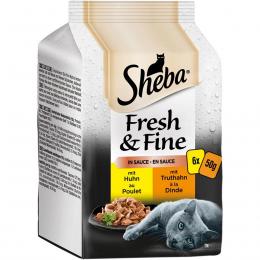 Sheba Fresh & Fine in Sauce mit Huhn & Truthahn 36x50g