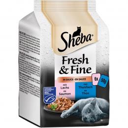 Sheba Fresh & Fine in Sauce mit Lachs & Thunfisch 6x50g