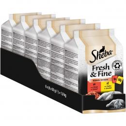Sheba Fresh & Fine in Sauce mit Rind & Huhn 72x50g