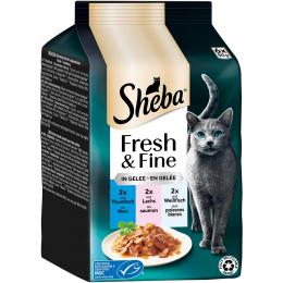 Sheba Fresh und Fine Gelee Thunfisch, Lachs und Weißfisch 36x50 g