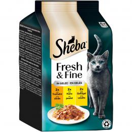 Sheba Fresh und Fine Gelee Truthahn, Huhn und Geflügel 6x50 g