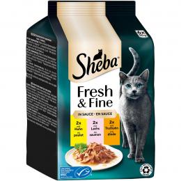 Sheba Fresh und Fine Sauce Huhn. Lachs und Truthahn 36x50 g